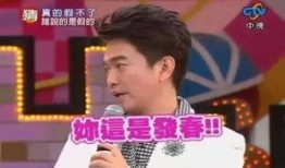 娱乐圈大爆料贴纸,揭秘明星背后的秘密与真相